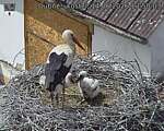 Capi_Dubne_20260614_135003.jpg