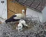 Capi_Dubne_20260614_141002.jpg