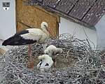 Capi_Dubne_20260614_142004.jpg