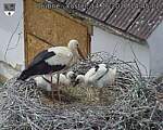 Capi_Dubne_20260614_144502.jpg