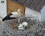 Capi_Dubne_20260614_145502.jpg