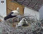 Capi_Dubne_20260614_151003.jpg