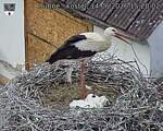 Capi_Dubne_20260614_152002.jpg