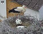 Capi_Dubne_20260614_152503.jpg