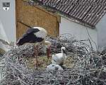 Capi_Dubne_20260614_153002.jpg
