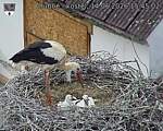 Capi_Dubne_20260614_154502.jpg