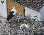 Capi_Dubne_20260614_161003.jpg