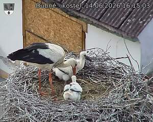 preload