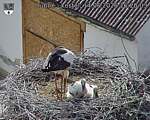 Capi_Dubne_20260614_162003.jpg