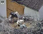 Capi_Dubne_20260614_164503.jpg