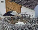 Capi_Dubne_20260614_171004.jpg