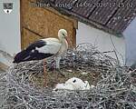 Capi_Dubne_20260614_171502.jpg