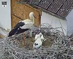 Capi_Dubne_20260614_173003.jpg