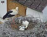 Capi_Dubne_20260614_173502.jpg