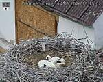 Capi_Dubne_20260614_191502.jpg