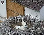 Capi_Dubne_20260614_192503.jpg