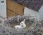 Capi_Dubne_20260614_193502.jpg