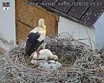 Capi_Dubne_20260614_202002.jpg