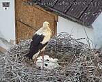 Capi_Dubne_20260614_203502.jpg