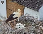 Capi_Dubne_20260614_204003.jpg
