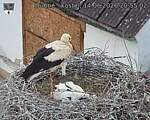 Capi_Dubne_20260614_205502.jpg