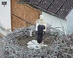 Capi_Dubne_20260614_211503.jpg