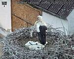 Capi_Dubne_20260614_212503.jpg