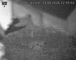 Capi_Dubne_20260614_220503.jpg