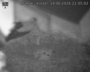 preload