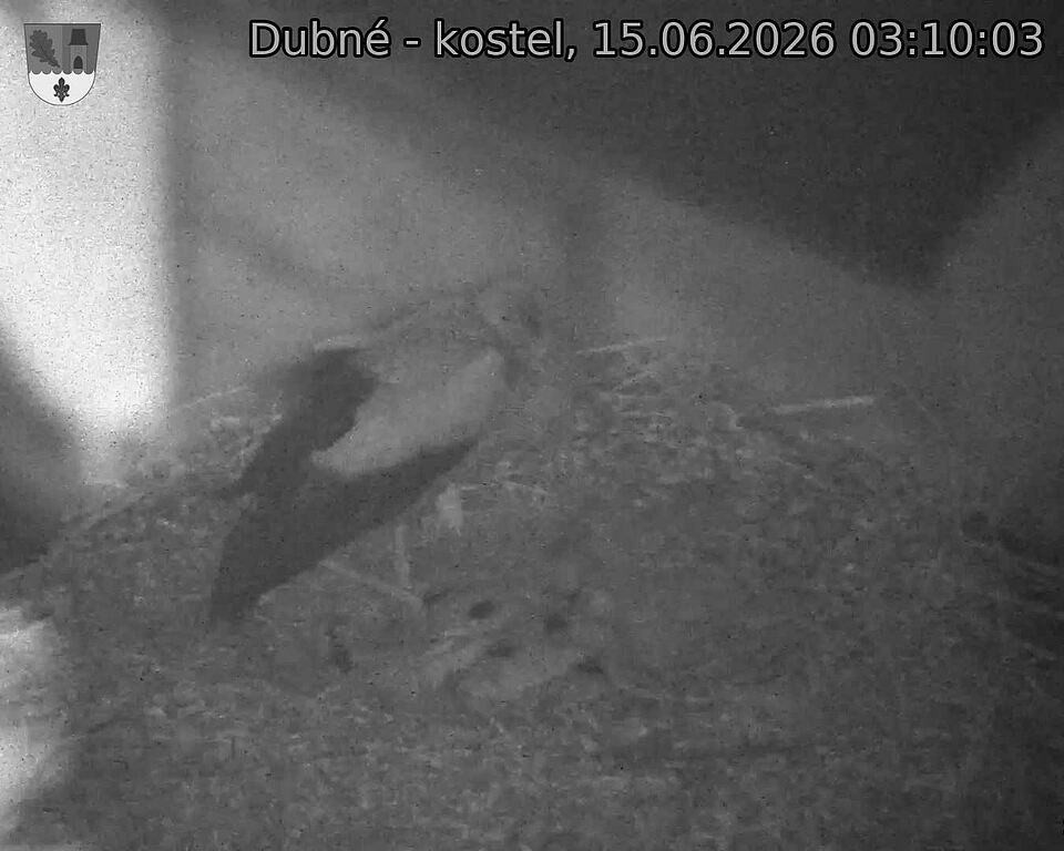 preload