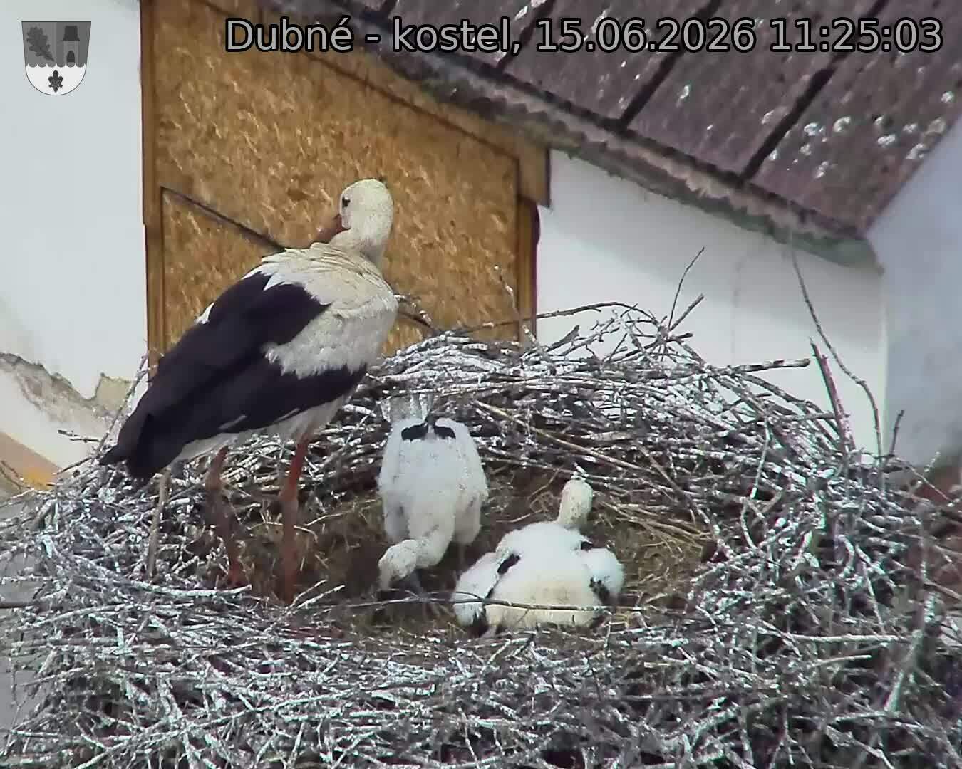 preload