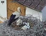 Capi_Dubne_20260615_115003.jpg