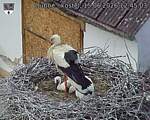 Capi_Dubne_20260615_124503.jpg