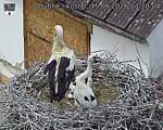 Capi_Dubne_20260615_132004.jpg