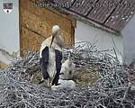Capi_Dubne_20260615_132503.jpg