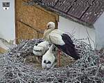 Capi_Dubne_20260615_134503.jpg