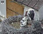 Capi_Dubne_20260615_151004.jpg