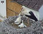 Capi_Dubne_20260615_153503.jpg