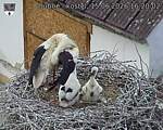 Capi_Dubne_20260615_162002.jpg