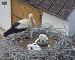 Capi_Dubne_20260615_163504.jpg