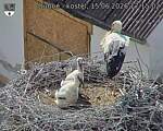 Capi_Dubne_20260615_171502.jpg