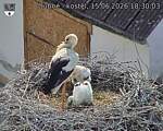 Capi_Dubne_20260615_183003.jpg