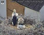 Capi_Dubne_20260615_184004.jpg