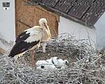 Capi_Dubne_20260615_212003.jpg