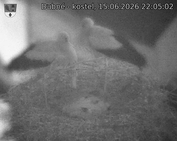 Capi_Dubne_20260615_220502.jpg (1350&nbsp;x&nbsp;1080)