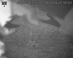 Capi_Dubne_20260615_225003.jpg