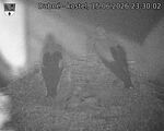 Capi_Dubne_20260615_233002.jpg