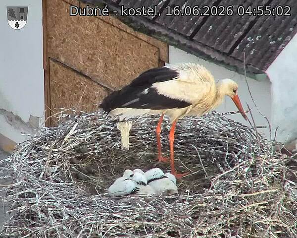 preload