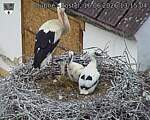 Capi_Dubne_20260616_131504.jpg