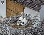 Capi_Dubne_20260616_145502.jpg